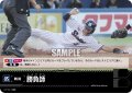 勝負師(東京ヤクルトスワローズ)[PDO-01_C]【CBP03収録】