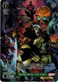 【SR仕様(C)】“PROBLEMATIC FAN”X-MEN[WS_MAR/S113-047S]