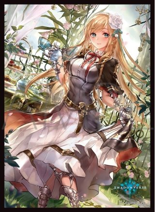 Shadowverse EVOLVE(シャドウバース エボルヴ)サプライ - マスターズ