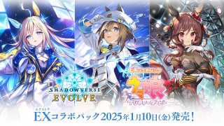 Shadowverse EVOLVE(シャドウバース エボルヴ☆ - マスターズスクウェア通販ブシロード店